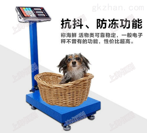 臺秤3.jpg 臺秤3.jpg