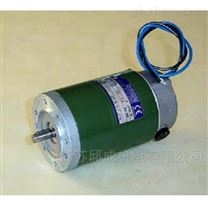 優(yōu)勢(shì)供應(yīng)DRIVE SYSTEMS進(jìn)口電機(jī)