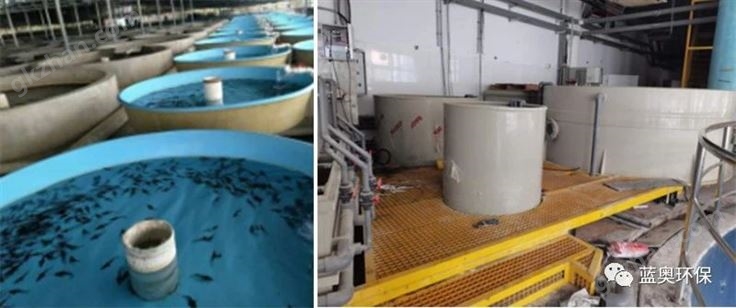 养殖池设备 鱼池设备