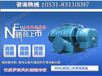 WHL-82二葉羅茨風(fēng)機(jī)