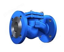 FIG12.003升降式止回閥