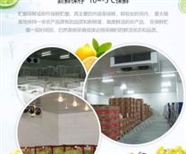 果蔬冷藏保鮮冷庫(kù)設(shè)計(jì)方案