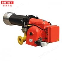 BNG250P型燃氣燃燒器