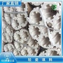 洗涤塔脱硫塔XA-1轻瓷填料