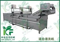 豆芽生產(chǎn)線黃綠豆混合清洗機(jī)