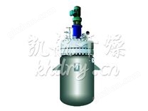 高压磁力反应釜