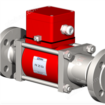 德國原廠COAX閥門