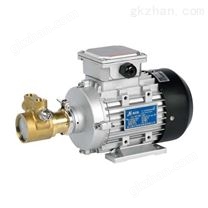 激光冷却循环叶片泵