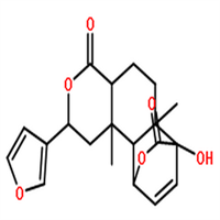异古伦宾.png 异古伦宾.png