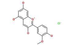 氯化芍药素.png 氯化芍药素.png